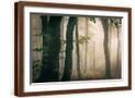 Brown Frame