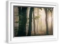 White Frame