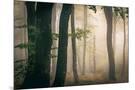 Wood Mount