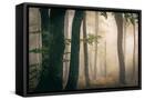 Canvas Black