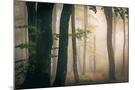 Wood Mount
