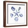 Brown Frame