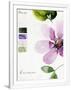Gramercy White
