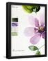 Essential Black