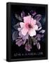 Essential Black