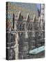 Stephansdom (Cathedral of St. Stephen), Vienna, Austria-Gavin Hellier-Stretched Canvas