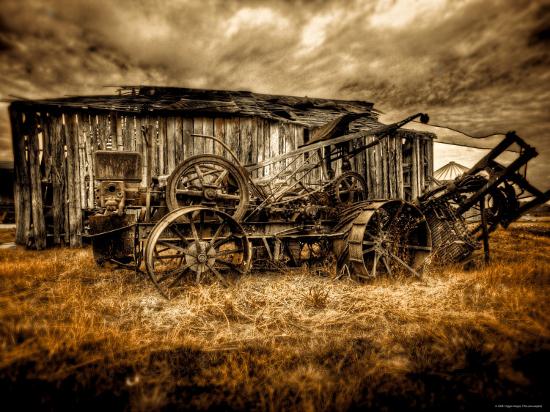 Photographic Print, , large