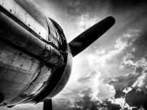 Fly Me-Stephen Arens-Photographic Print