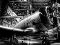 1945: Single Engine Plane-Stephen Arens-Framed Photographic Print