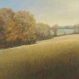 Distant Lake-Stephen Bach-Framed Stretched Canvas