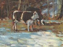 Grazing Cows Watercolor-Stephen Calcasola-Art Print