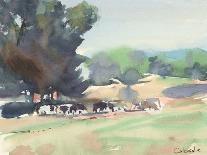 Cows Grazing, Somerset-Stephen Calcasola-Art Print