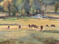 Cows Grazing, Somerset III-Stephen Calcasola-Art Print