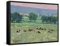Canvas Black