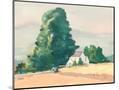 Wood Mount