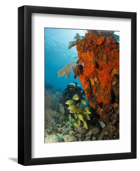 Premium Photographic Print, , large