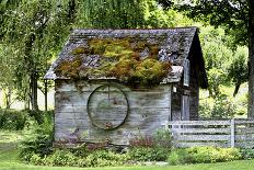 Overgrown-barn-Stephen Goodhue-Photographic Print