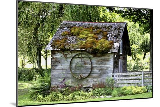 Photographic Print, , large