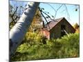 Wood Mount
