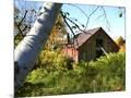 Wood Mount