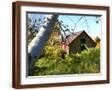 Brown Frame