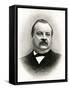 Stephen Grover Cleveland, President of the United States-null-Framed Stretched Canvas