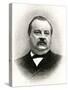 Stephen Grover Cleveland, President of the United States-null-Stretched Canvas