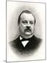 Stephen Grover Cleveland, President of the United States-null-Mounted Photographic Print