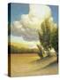 Stretched Canvas