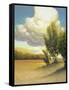 Canvas Black