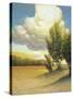 Stretched Canvas