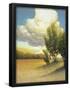 Essential Black