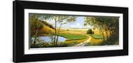 Brown Frame
