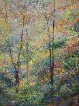 Leaf Valley-Stephen Henning-Stretched Canvas