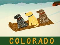 Colorado Sled Dogs-Stephen Huneck-Giclee Print