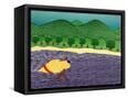 Canvas Black