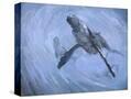 Stretched Canvas