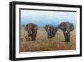 Black Frame
