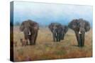 Stretched Canvas