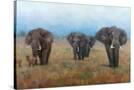 Stretched Canvas
