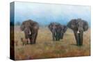 Stretched Canvas