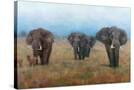 Stretched Canvas