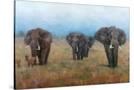 Stretched Canvas