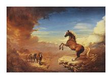 The Stallion-Stephen Pearson-Premium Giclee Print