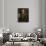 Stephen Rimbault-Johan Zoffany-Giclee Print displayed on a wall