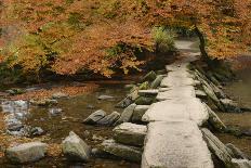 Tarr Steps, a clapper bridge crossing the River Barle on Exmoor, Somerset, England, United Kingdom,-Stephen Spraggon-Photographic Print