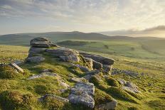 Mist Shrouded Fields Leading-Stephen Spraggon-Photographic Print