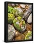 Essential Black