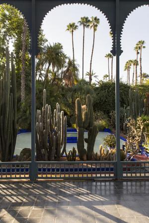 Jardin Majorelle, Owned by Yves St. Laurent, Marrakech, Morocco, North Africa, Africa