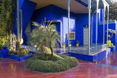 Jardin Majorelle, Owned by Yves St. Laurent, Marrakech, Morocco, North Africa, Africa-Stephen Studd-Photographic Print